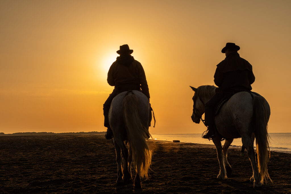 Chevaux camarguais