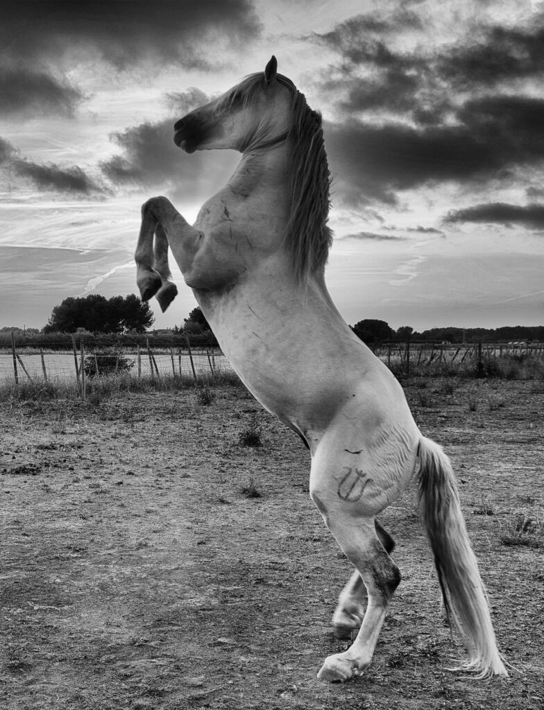 Salutations au Soleil