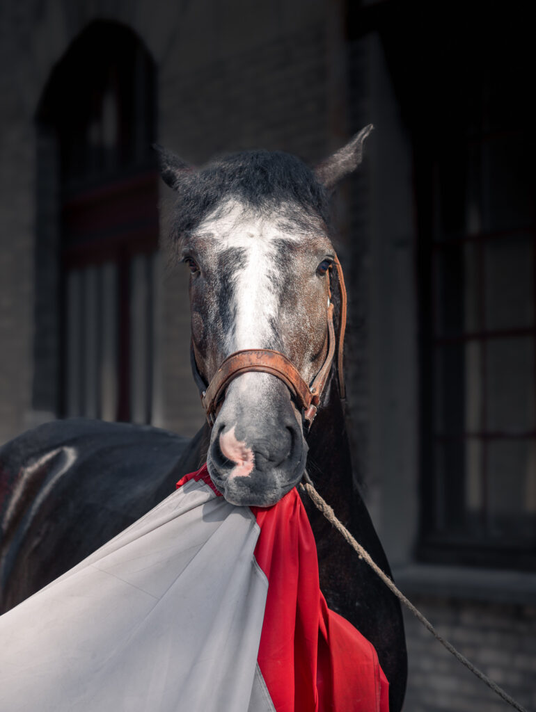 Cabotin Républicain
