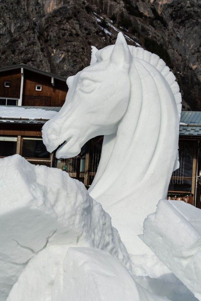 Cheval de glace