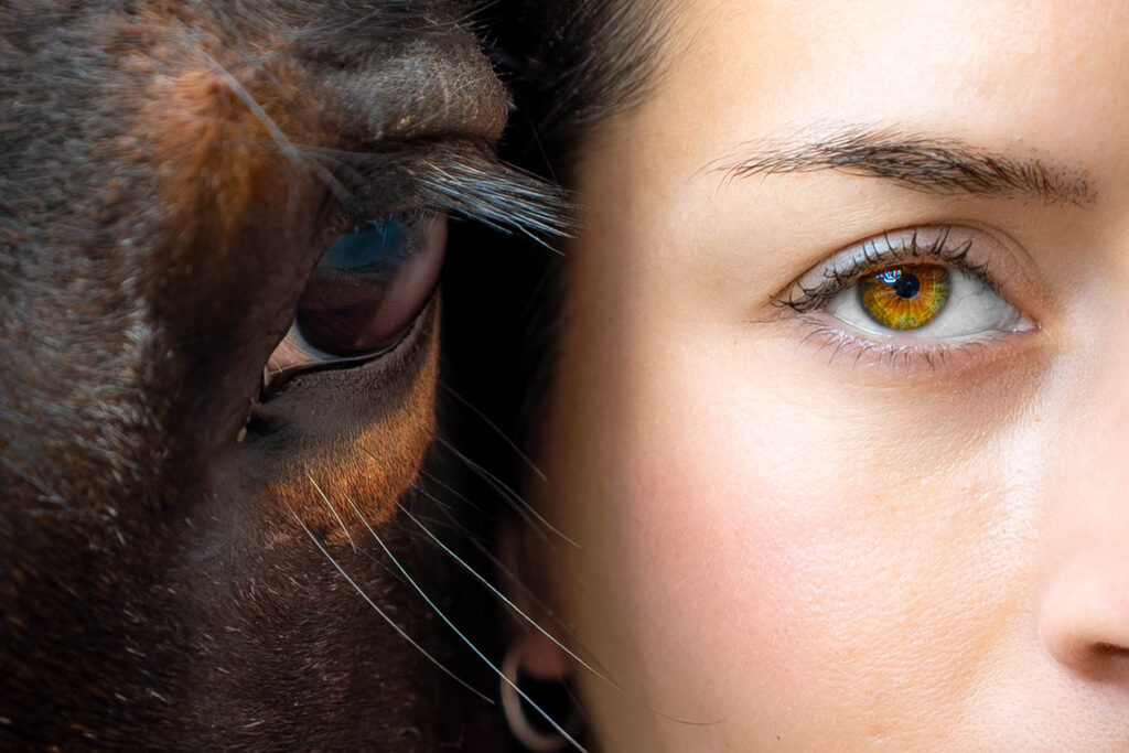 Ensemble dans la même direction