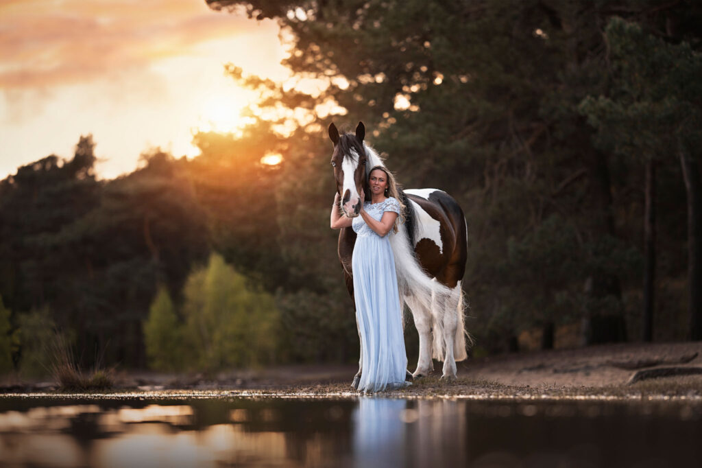 Harmonie au crépuscule