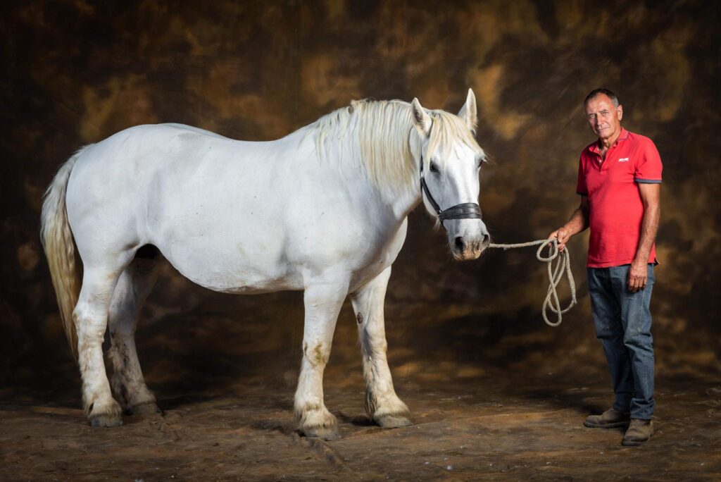 Le cheval blanc et son palefrenier