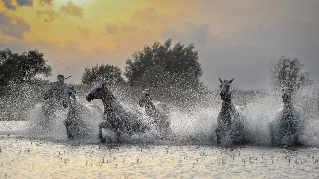 Chevauchée au soleil couchant