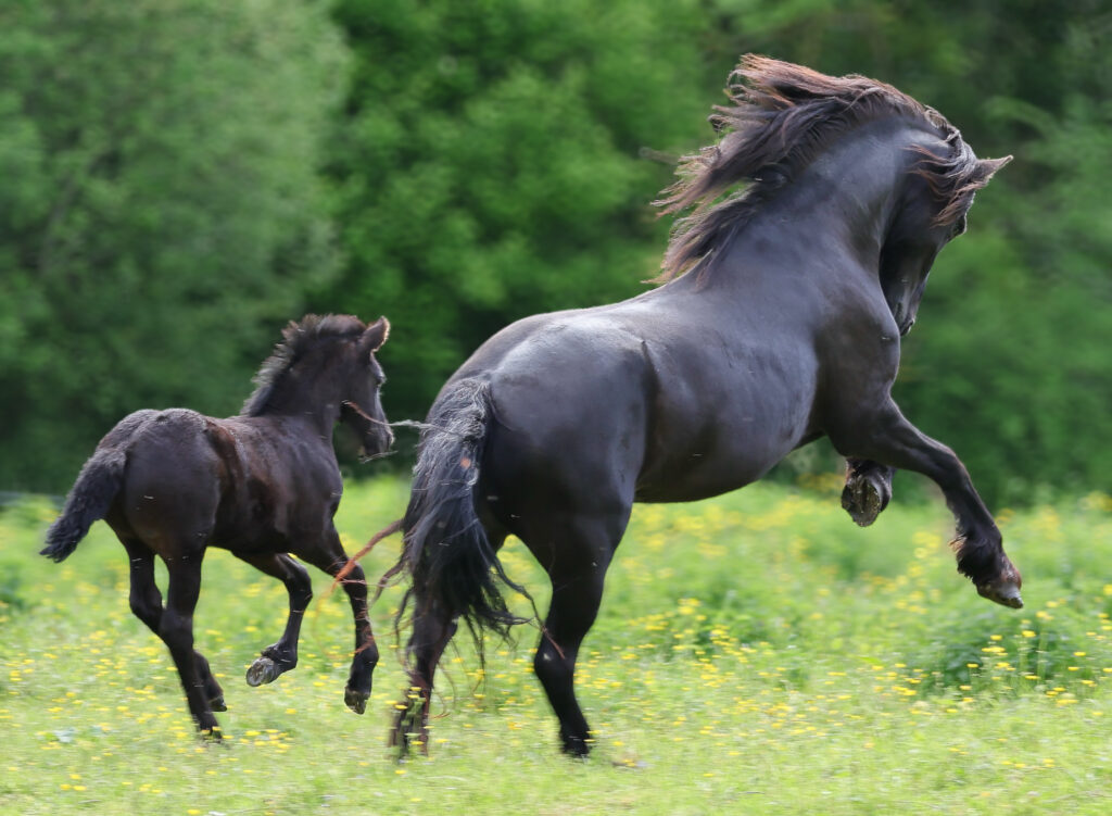 Mère et fils d'un même élan