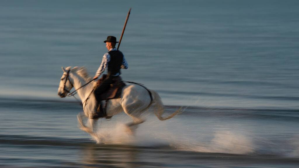 Cavalier aux Saintes-Maries-de-la-Mer