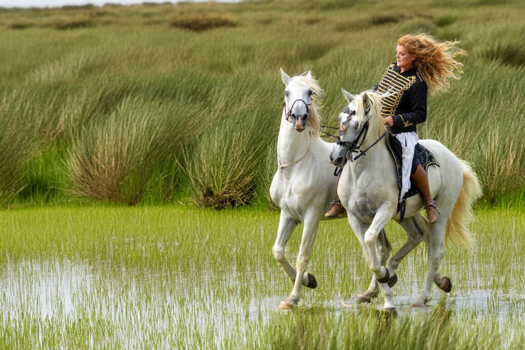 La belle et ses chevaux