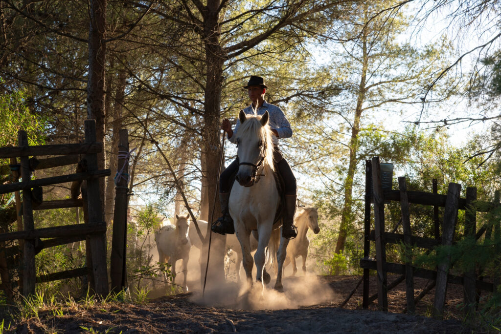 La troupe rentre à la maison !!