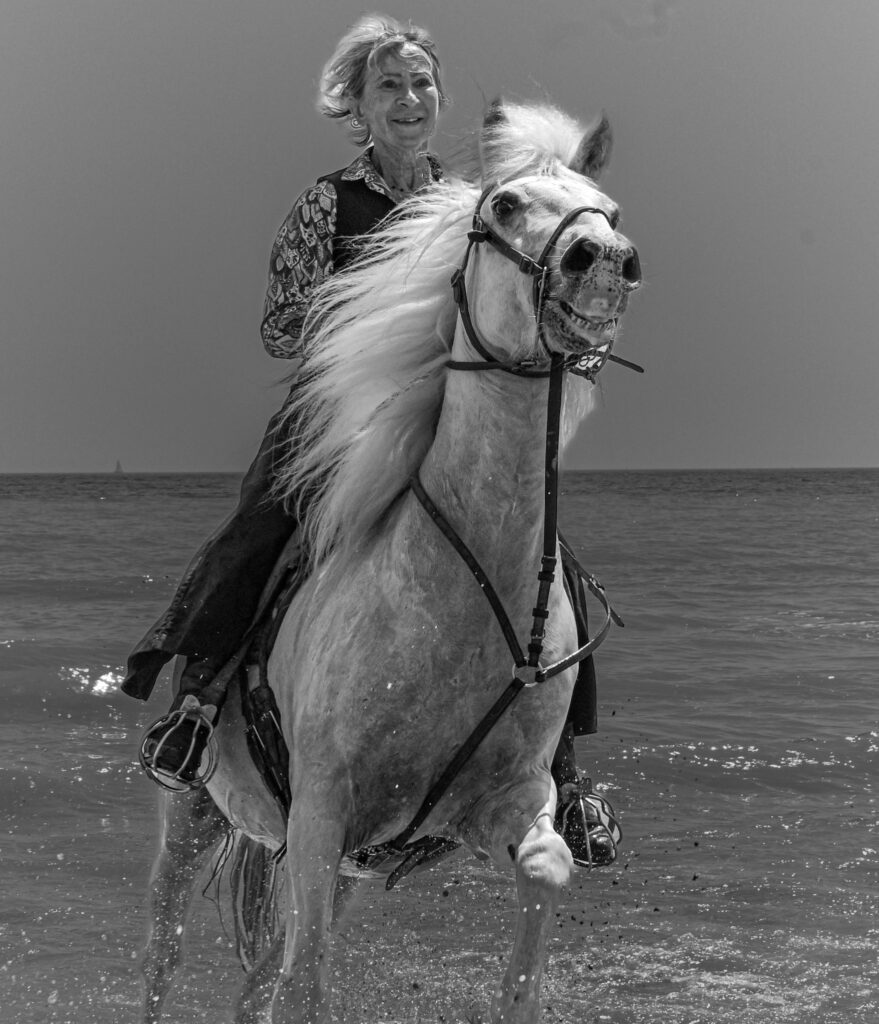 Cheval et cavalière