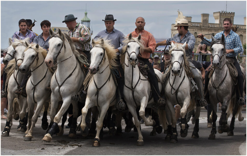 Abrivado au Grau du Roi.