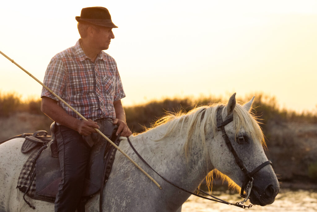 Cavalier au couché de soleil