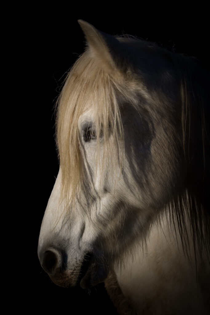 Margot...La reine....