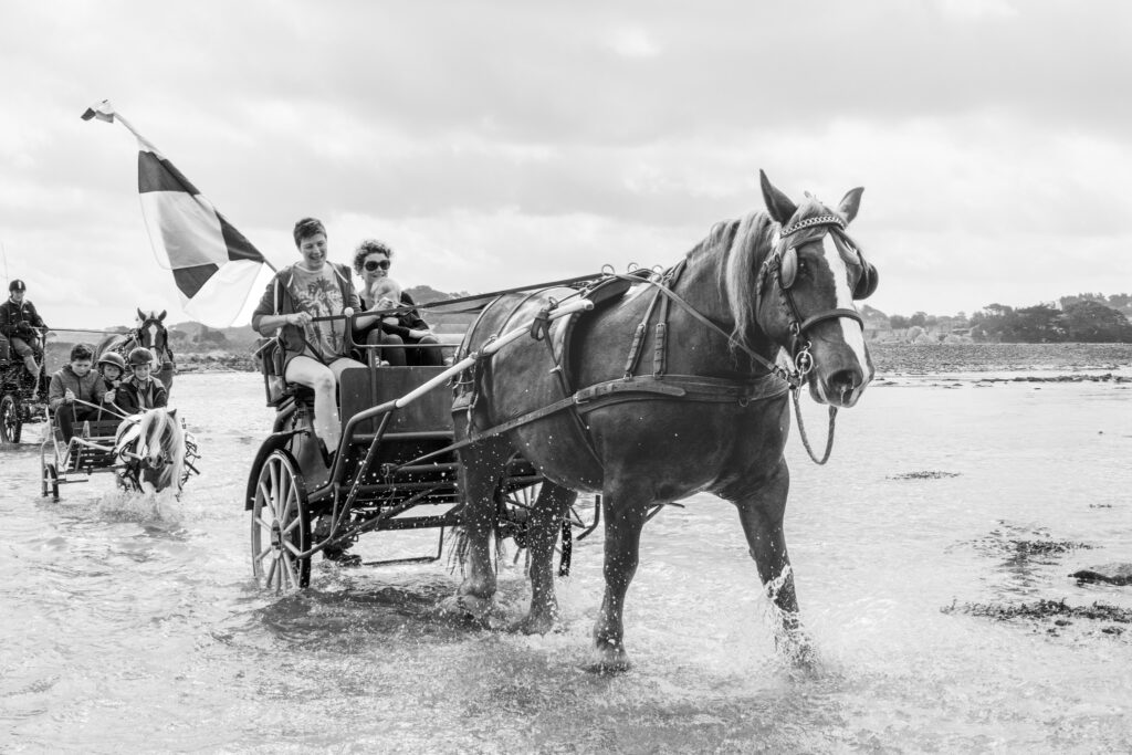 Vers le pardon des chevaux de Saint-Gildas