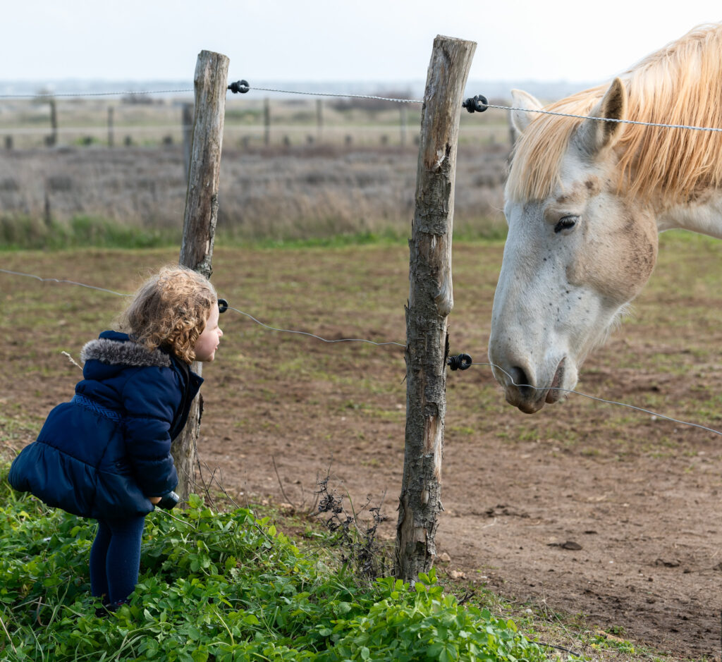 Doux dialogue hivernal