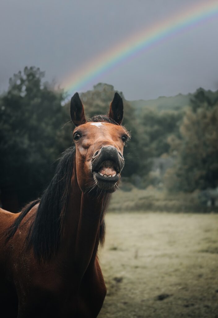 Sourire à pleine dent