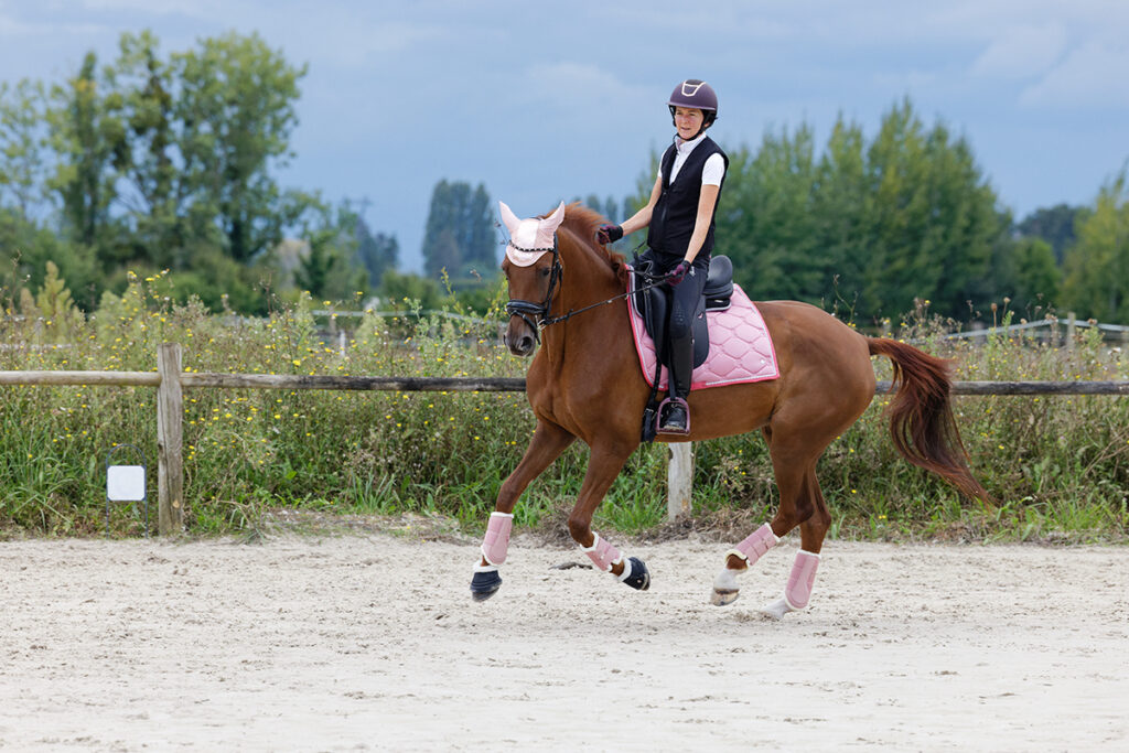 Cavalière de Divine du Hans