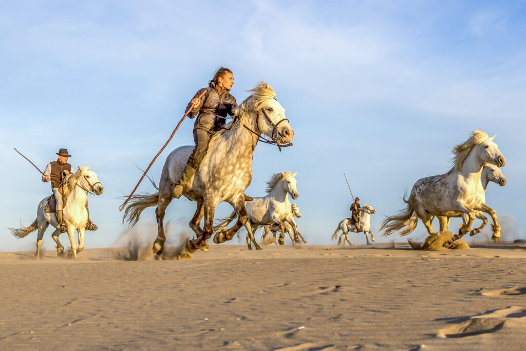 chevaux sur la plage