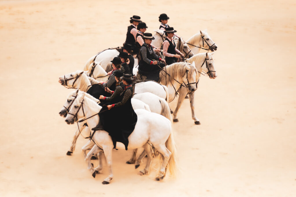 La Camargue, au féminin