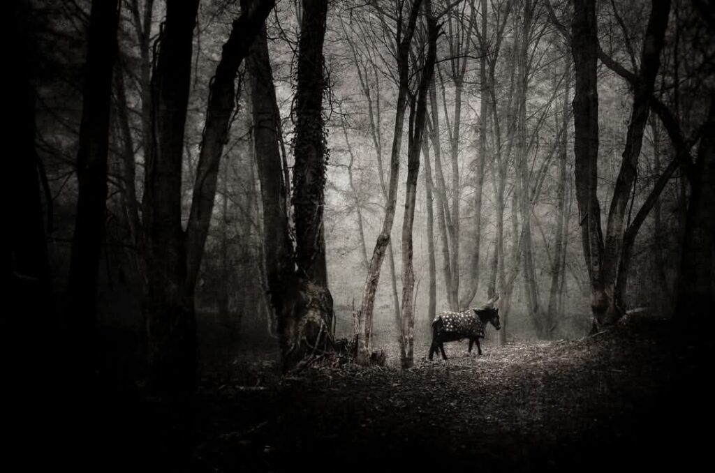 Sur les bords de tes yeux IX