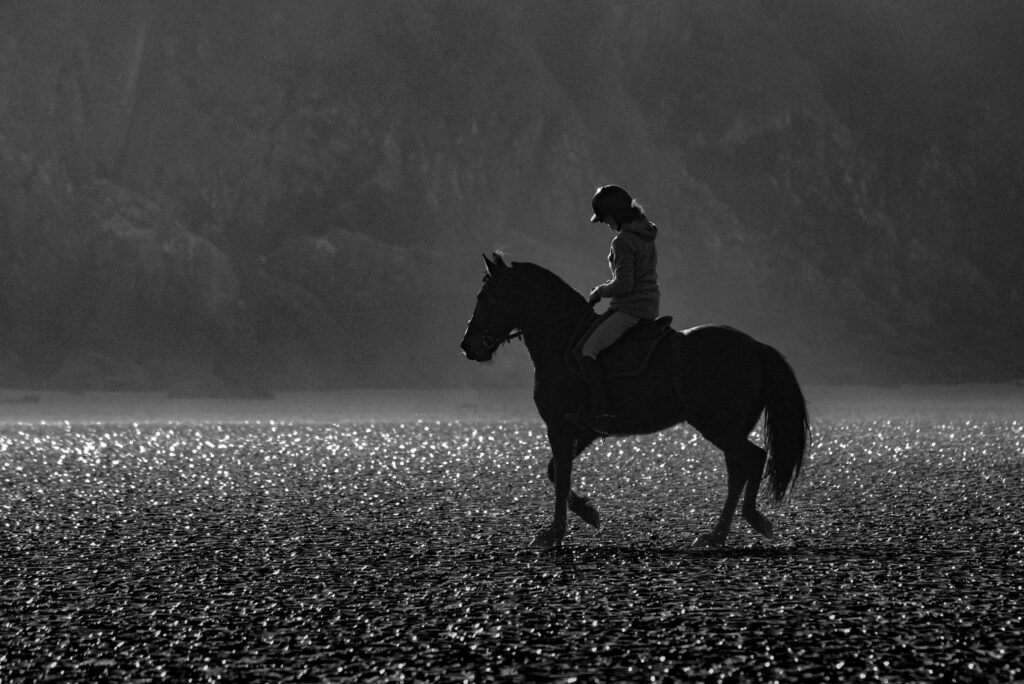 Contre-jour sur le sable