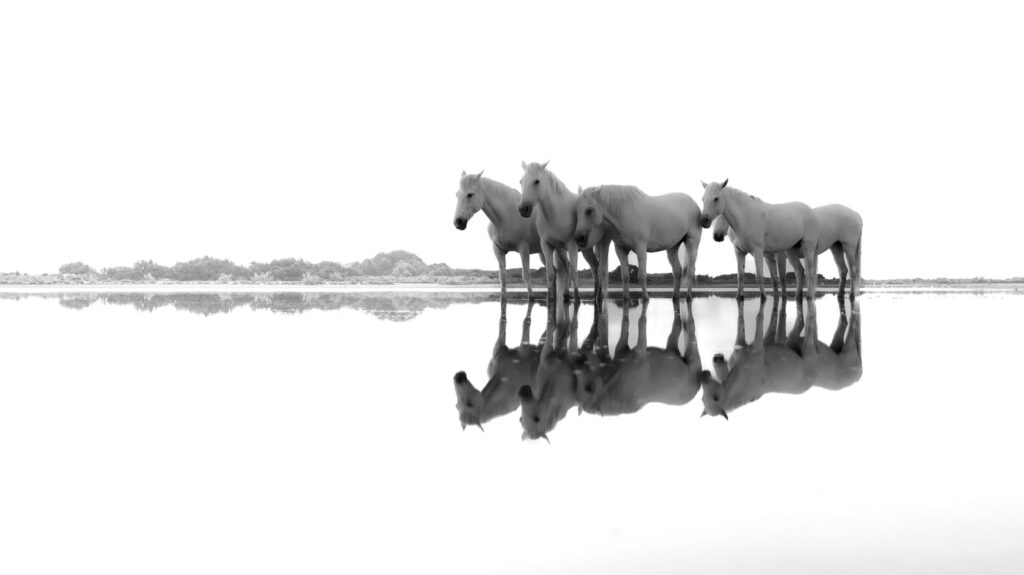 Comme dans un rêve éveillé