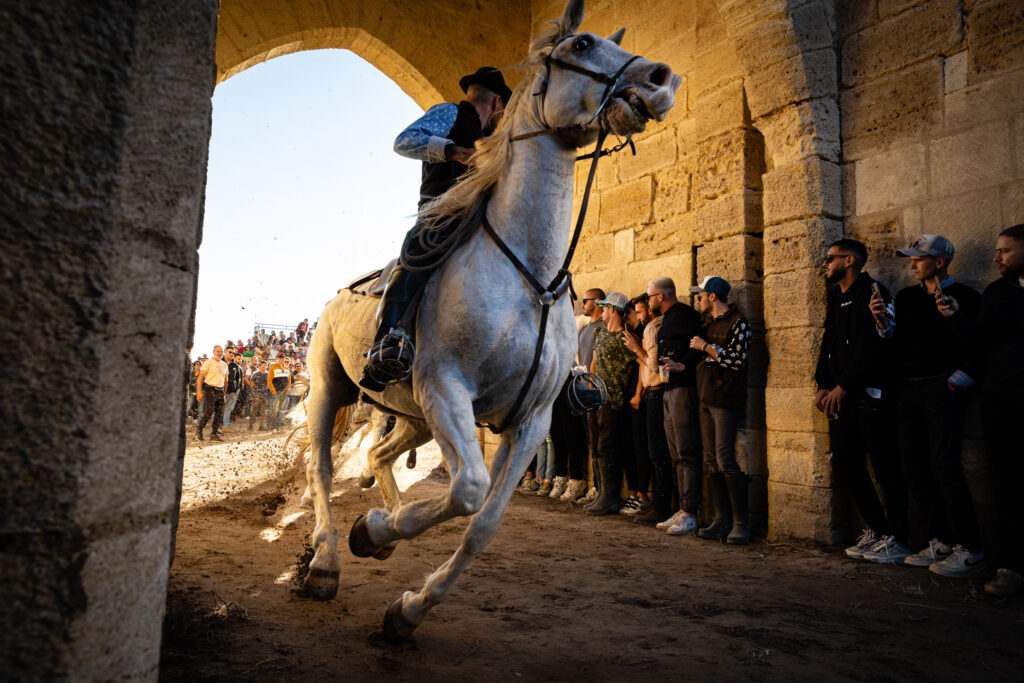 Fêtes d'Aigues Mortes