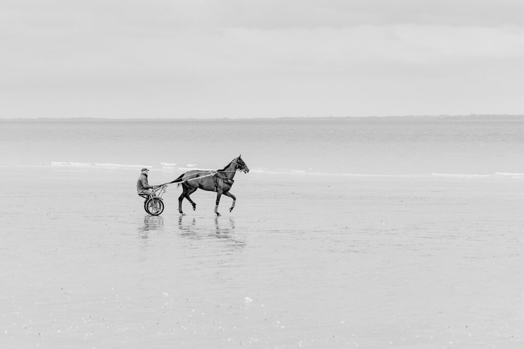 Trotteur sur une plage du Cotentin