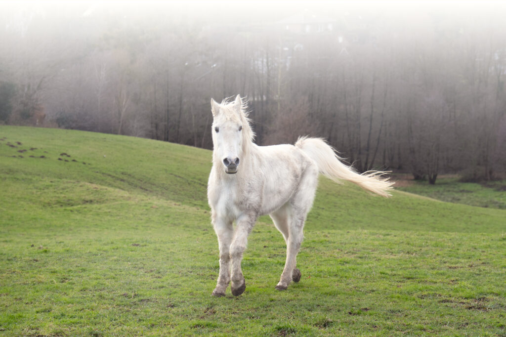 Thalyshaah ; mon Amour de 24 ans
