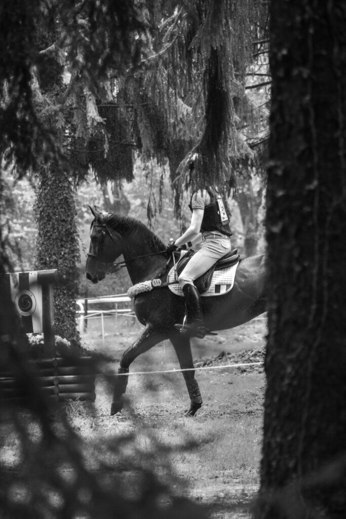 Arthur Marx et Church ile au départ des 5* de Pau 2024