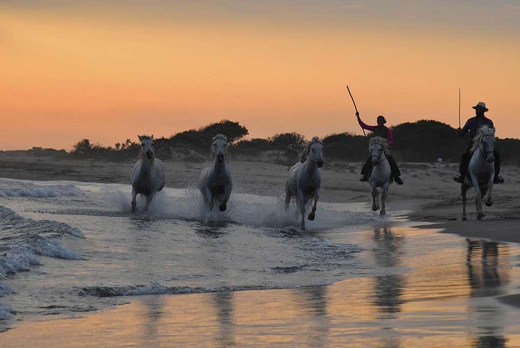 Eclats de liberté au crépuscule