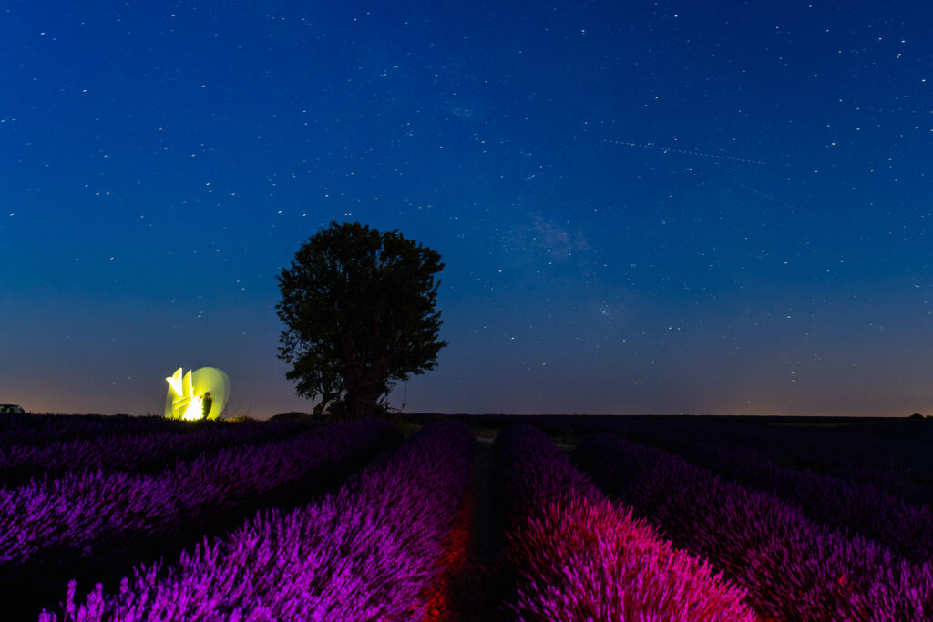 Soirée d'été dans un champ de lavande...