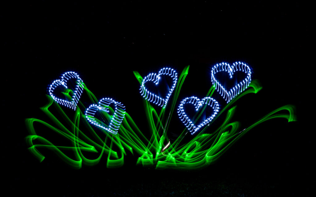 Le printemps dans mon jardin