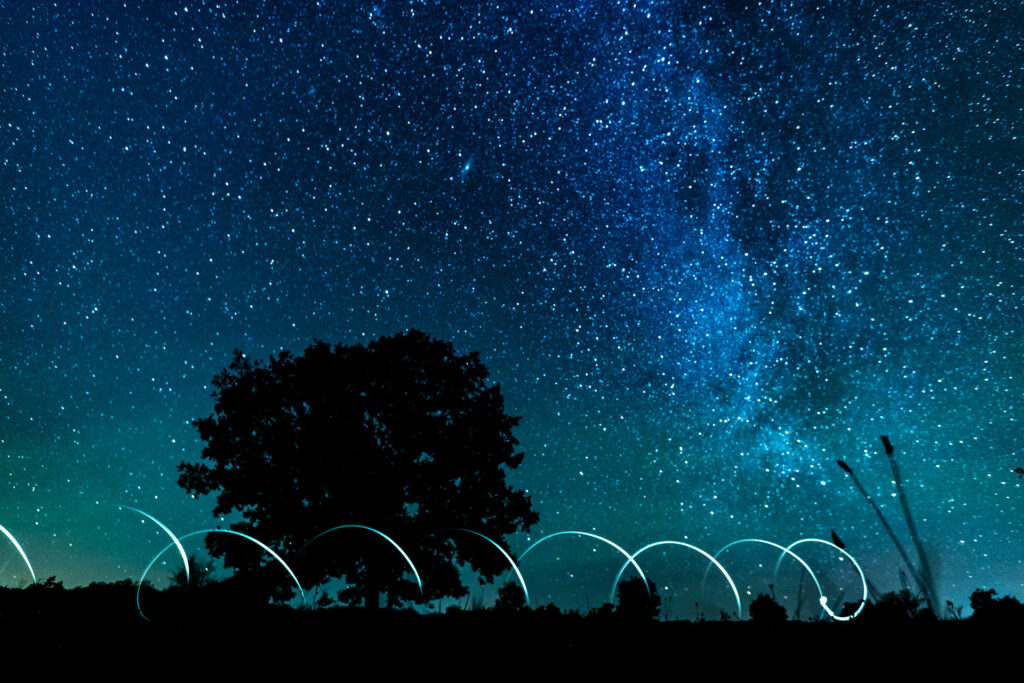 Auprès de mon arbre