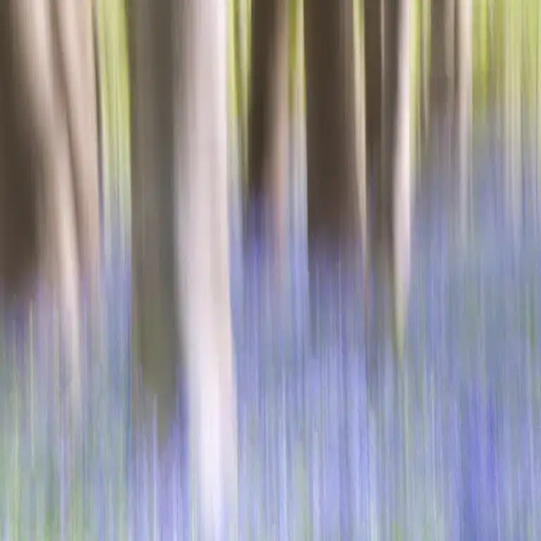 challenge-photos-icm