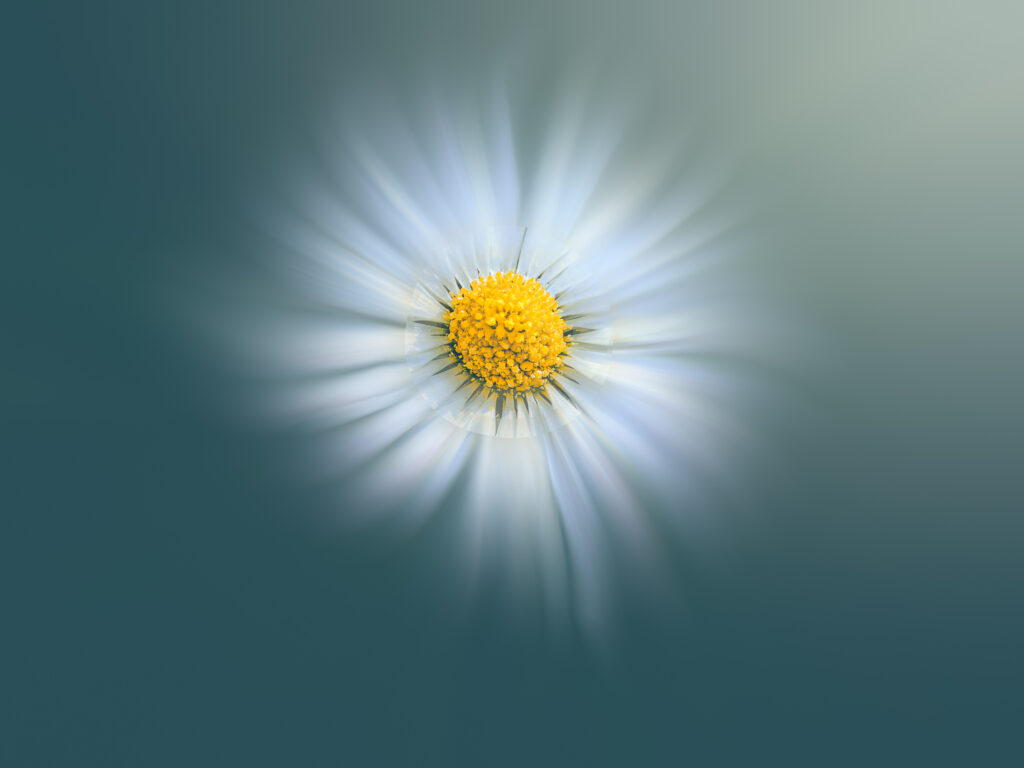 A la façon de Yong Ki Park