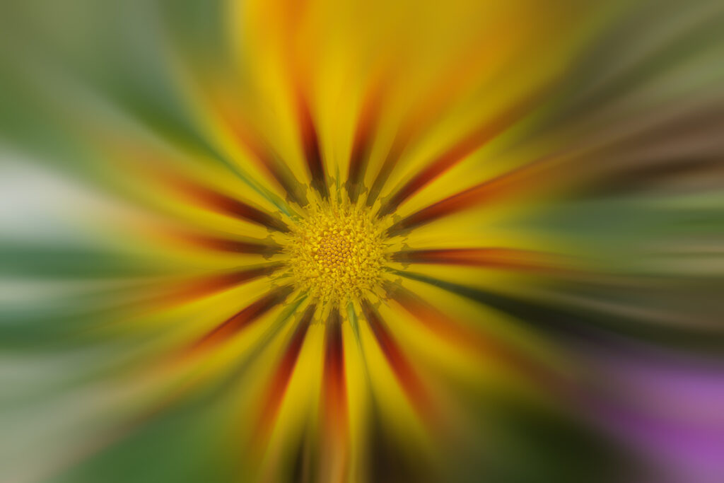 rayonement multicolor