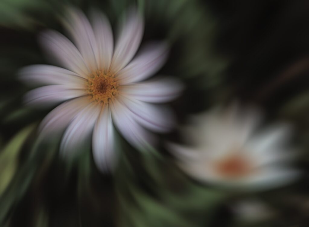 C'est le Printemps ...