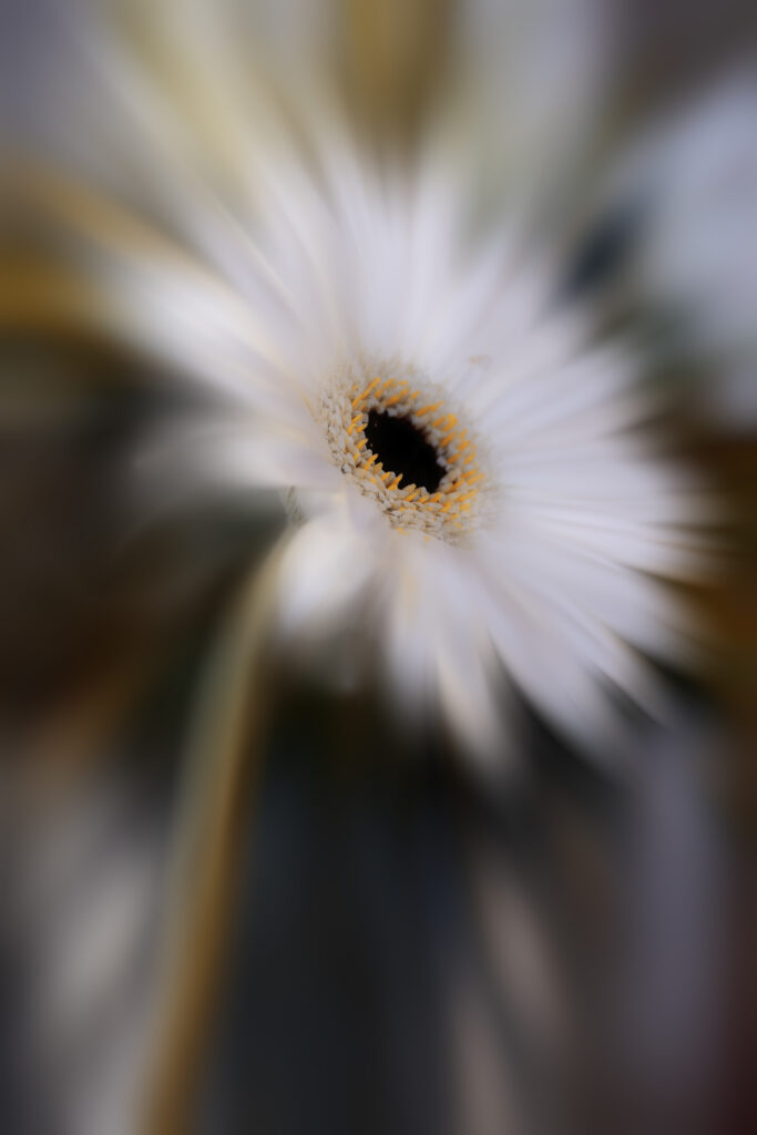 douceur printanière