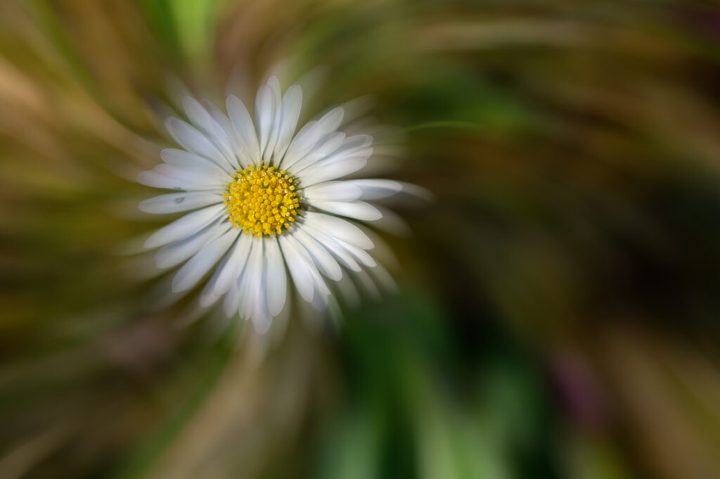 appelez moi Margueritte