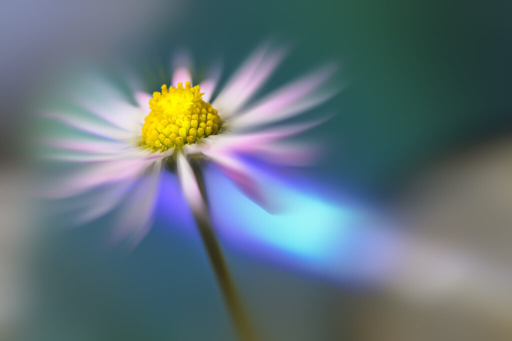 Et la lumière fût...