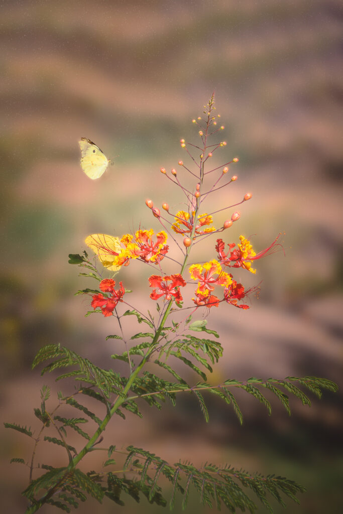 Légèreté suspendue