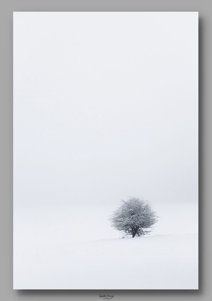 Solitude