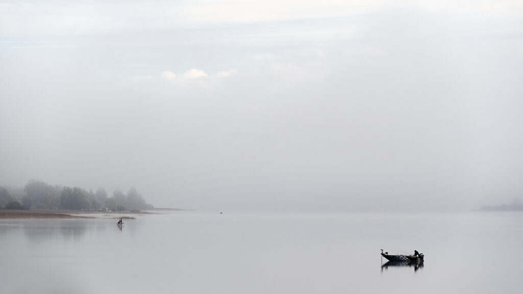 Dans la brume matinale
