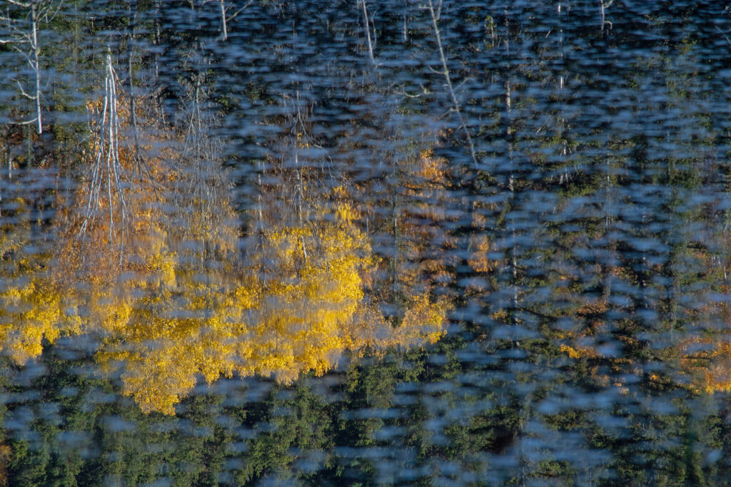 Reflets automnaux
