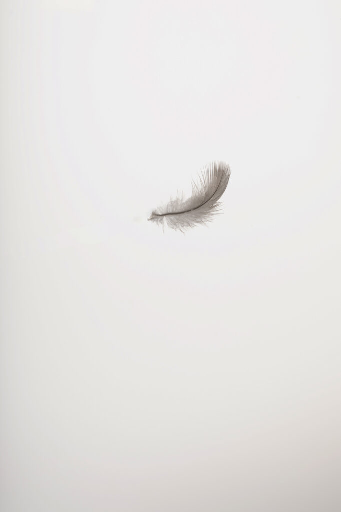 Chute libre