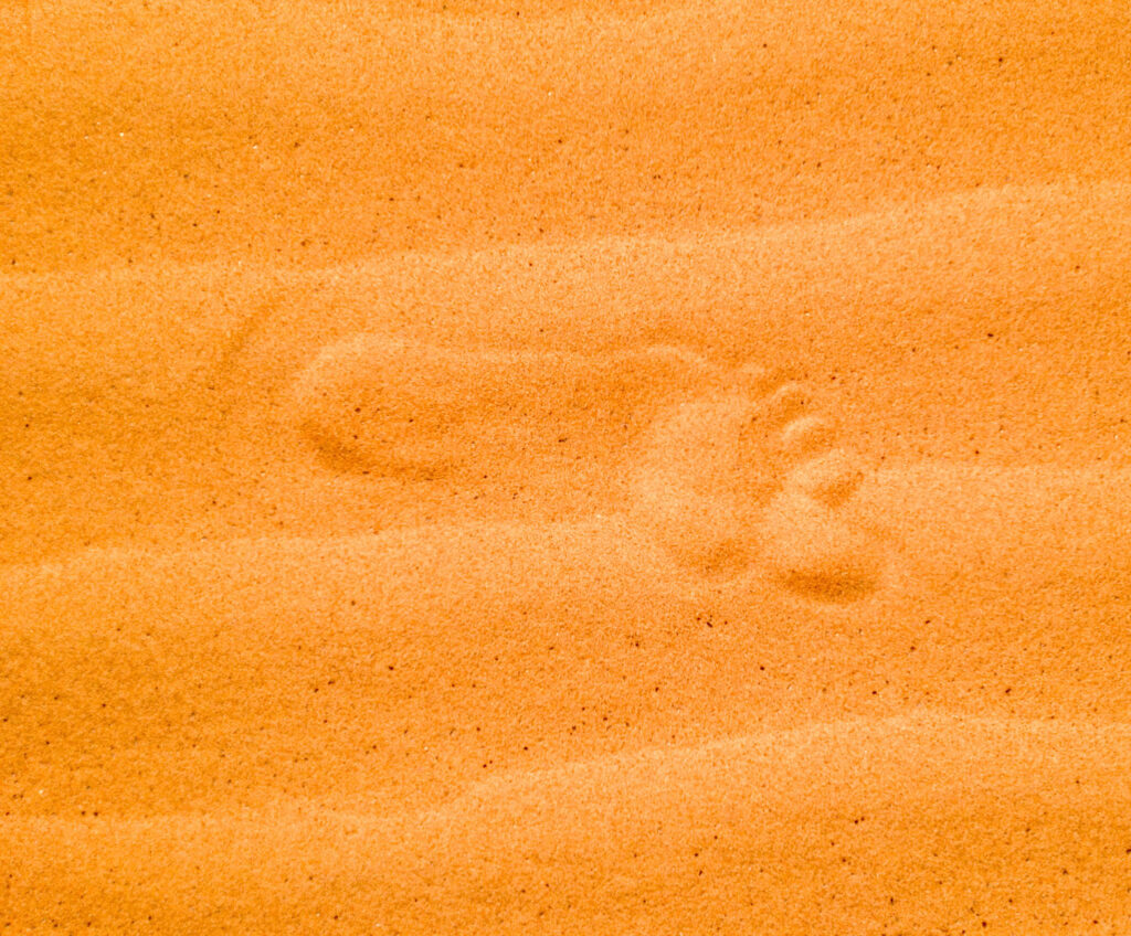 Pied nu sur dune