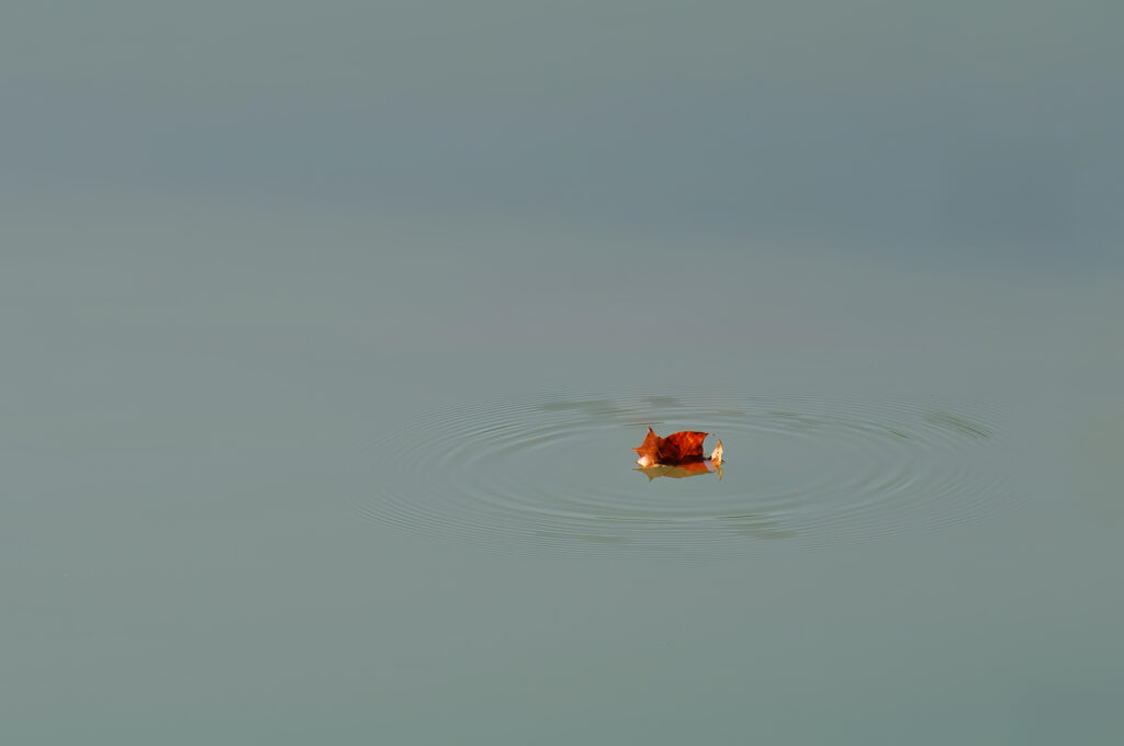Au fil de l'eau