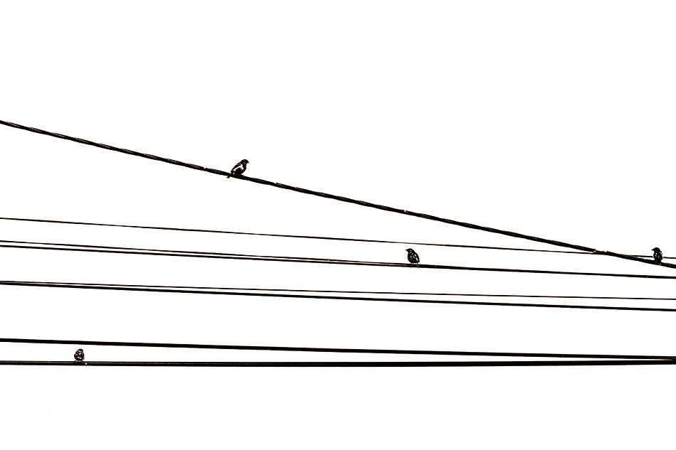 Quatuor, sur des fils