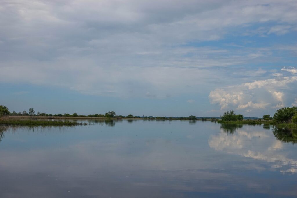 Dans la réserve naturelle régionale du marais de Brière