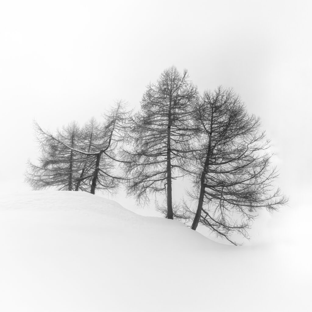 Bernina en hiver